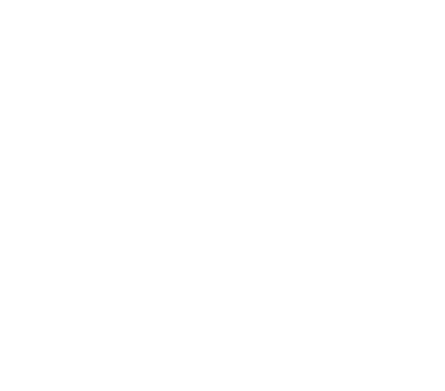 PIR logo